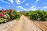 Real estate agency Denia, Monte Pego - For sale Villa, 2 bedrooms