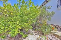 Agence immobilière Denia, Monte Pego - A vendre Villa, 3 chambres