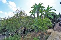 Agence immobilière Denia, Monte Pego - A vendre Villa, 4 chambres
