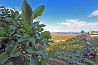 Real estate agency Denia, Monte Pego - For sale Villa, 3 bedrooms