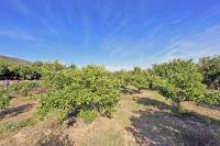 Agence immobilière Denia, Monte Pego - A vendre Villa, 2 chambres