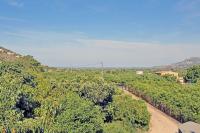 Agence immobilière Denia, Monte Pego - A vendre Villa, 2 chambres