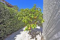 Real estate agency Denia, Monte Pego - For sale Villa, 3 bedrooms